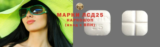ПСИЛОЦИБИНОВЫЕ ГРИБЫ Верхний Тагил