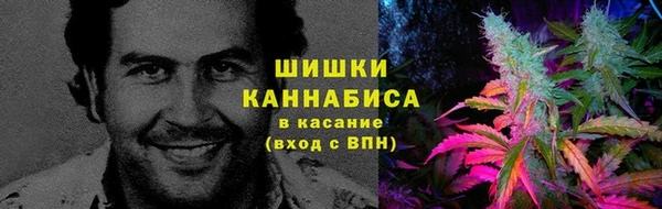 прущие крисы Струнино