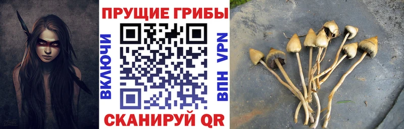 Псилоцибиновые грибы мицелий  купить наркотики сайты  Надым 